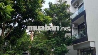 Nhà phân lô KĐT Mậu Lương, Kiến Hưng, Hà Đông