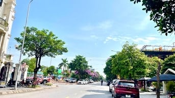 Đất TĐC 7.2ha Trâu quỳ, Vỉa hè oto tránh dt 125m2 mt 6.5m