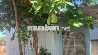 🏠 CHO THUÊ NHÀ MÁI TÔN - ĐẤT RỘNG 500m²