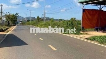 BÁN ĐẤT MẶT TIỀN ĐƯỜNG NHỰA tại HIỆP THẠNH - ĐỨC TRỌNG - LÂM ĐỒNG