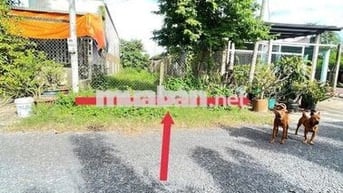 CHỦ NGỘP BÁN LÔ (5x40) GIÁ 560TR TC CÓ SẴN MUA VỀ XÂY DỰNG NGAY GIÁ TL