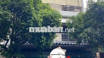Cho Thuê MT Họ Lê - Phường Phú thạnh : 8 x 20 Đúc 4 Lầu đẹp