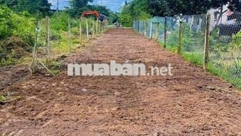 🔥 BÁN ĐẤT ĐẸP XÃ PHÚ HÒA ĐÔNG, CỦ CHI – GIÁ TỐT CHO NHÀ ĐẦU TƯ 🔥
