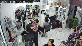 Cần tuyển thơ phu làm dịp tết 