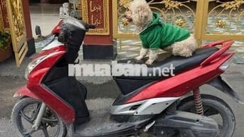 Yamaha Mio ultimo