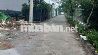 ĐẤT HẺM XE TẢI - KHU PHÂN LÔ- THẠNH XUÂN 25 - 53m2 - Nhỉn 3 ty TL