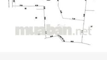 Bán đất xã Phan .H Dương Minh Châu.DT.32.977m2 có thổ 1000m giá 44 tỷ