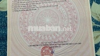 cần bán lô đất thổ cư đường ô tô tại xã An Thới đông cần giờ tphcm