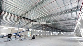 Cho Thuê Kho Xưởng 5000m² Tại Hóc Môn – PCCC Tự Động, Điện 1.000KVA