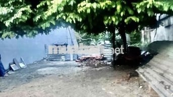 ĐẤT ĐÔNG THẠNH 4 THỔ CƯ GIÁ 4,7 TỶ NGANG 8m GẦN TRƯỜNG NGUYỄN HỮU TIẾN