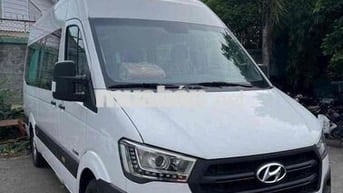 Hyundai Solati 2025