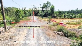 Bán đất sổ đỏ 2025,Full thổ:1000m2, đường Sa Bà, Hòa Khánh Nam,Đức Hòa