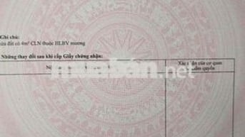 2.2 tỏi 150m ra Phạm Ngọc Thạch