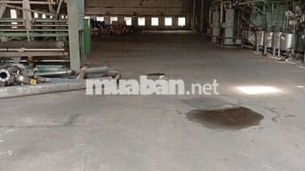 CHO THUÊ KHO 1800M2 ĐƯỜNG PHAN VĂN HỚN QUẬN 12 ĐƯỜNG CON40F CÓ PCCC