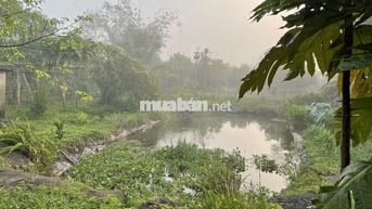 Bán đất CLN 7.800m2, 39m mặt tiền đường Thác Trời, xã Xuân Bắc