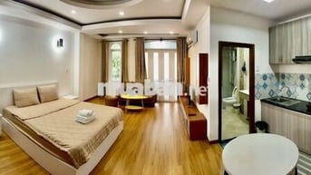 Cho thuê căn hộ dịch vụ 45m2 trung tâm Phú Mỹ Hưng - Quận 7