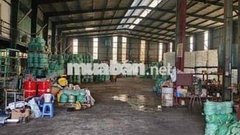 CHO THUÊ XƯỞNG 1700M, BÌNH MỸ, CỦ CHI