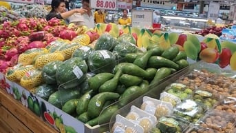 🚀🚀Hệ Thống Siêu Thị Cần Tuyển Nhân Viên Thời Vụ Và Chính Thức 2025