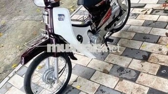 honda dream thái