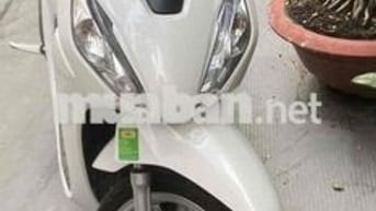 honda vison 3/2025 ngay chủ công chứng được 95%