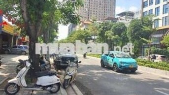 LẠC LONG QUÂN - MẶT PHỐ KINH DOANH - KHU VỰC TRUNG TÂM, VỊ TRÍ ĐẸP.