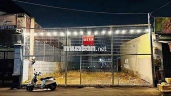 Sắp tới gia đình chủ đất chuyển định cư về Bắc ở nên bán lại lô đất. N