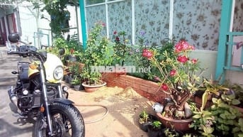Bán Rebel 300, odo 30k, máy móc bao zin