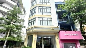 CHO THUÊ TÒA NHÀ VĂN PHÒNG – TRUNG TÂM QUẬN 1 – TRẦN NHẬT DUẬT- PCCC 