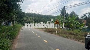 chính chủ ở Tân Uyên kẹt tiền bán gấp lô đất giá bể ngộp