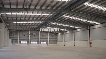 CHO THUÊ NHÀ KHO 1000M² SẴN PCCC TẠI LIÊN CHIỂU – GIÁ CHỈ 50K/M²/THÁNG