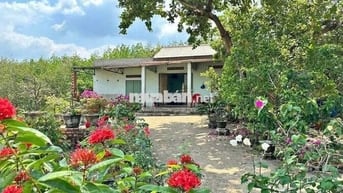 CHỦ NGỘP BÁN GẤP NHÀ VƯỜN RỘNG 2100M2  CÓ SẴN CÂY ĂN TRÁI