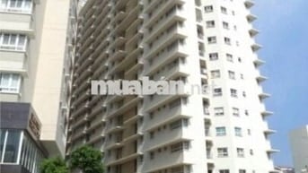 Cần bán căn hộ chung cư An Phú Apartment