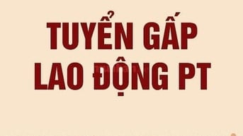 Tuyển nam nữ vô bao bì sản phẩm, giờ hành chính, lương cao 