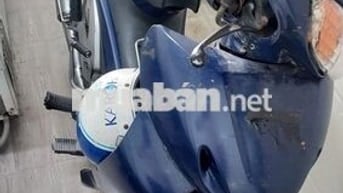 Future màu xanh xe gia đình