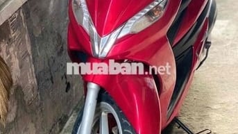 Xe Shark Rin Giá Rẻ