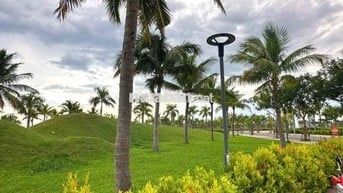 Bán cặp đất liền kề đường 7m5  Cồn đâu 23 kẹp vệt cây xanh . Gần Nguyễ