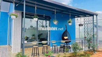 Homestay Dâu Tây Bảo Lộc DT: 934m2 sẵn 100 thổ cư 3 căn riêng biệt