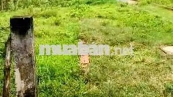 Đất thổ cư 1/Mai Thị Chửng-Tân An Hội-Củ Chi.Dt 3518m2~22ty