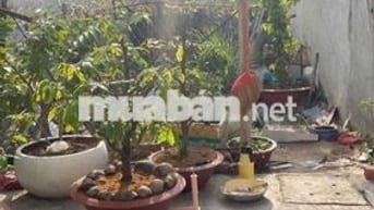 🔥🔥🔥 ĐẤT XÂY DỰNG TỰ DO 🔥🔥🔥