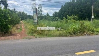 Cần bán 4500m vuông đất mặt tiền Long Tân, Dầu Tiếng. Giá 15 tỷ