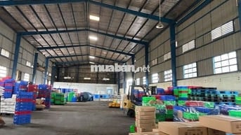Cho Thuê Kho Xưởng 1100m2 Mặt Tiền Trần Đại Nghĩa,Tân Tạo A, Bình Tân