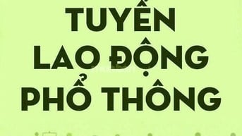 Tuyển Lao Động Phổ Thông Quận 12