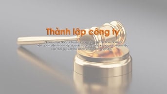chuyên tư vấn luật Pháp Lý Tuệ Nhân