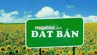 Chinh chủ ban đất Tân Thạnh Đông, Củ Chi, DT 10x39m ,