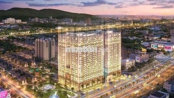 Sống tại biểu tượng Sống chất chuyên gia