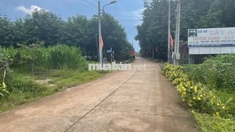 Ngộp bank cần ra gấp lô đất đối diện UBND xã An Long, TP.HCM, SHR