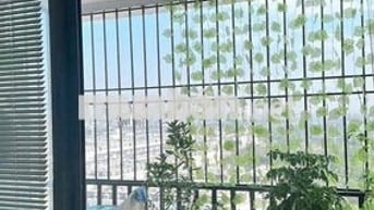 CC C2 XUÂN ĐỈNH - 85m²/2PN - full NỘI THẤT-Thoáng sáng.Giá chỉ 4,28 tỷ