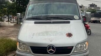 Mercedes Benz Sprinter 2010 Executive 313 - 185000