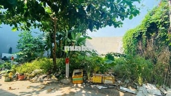 Cần bán lô đất rẻ nhất phường an phú đông