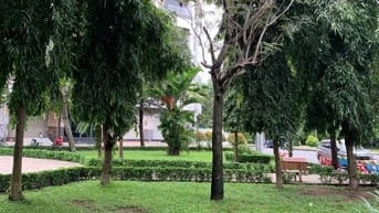 BÁN NHÀ ĐƯỜNG SỐ 86 Q6, VIEW CÔNG VIÊN (5X15) 4 TẤM ĐẸP. GIÁ 11,8 TỶ